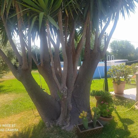 La Stanza Delle Muse In Villa Con Piscina Fontane Bianche Exterior foto